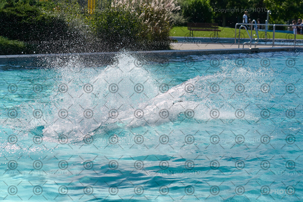 170_202509_4Hundebadetag_NZ9_2684 | proPHOTO - Realisiert mit Pictrs.com