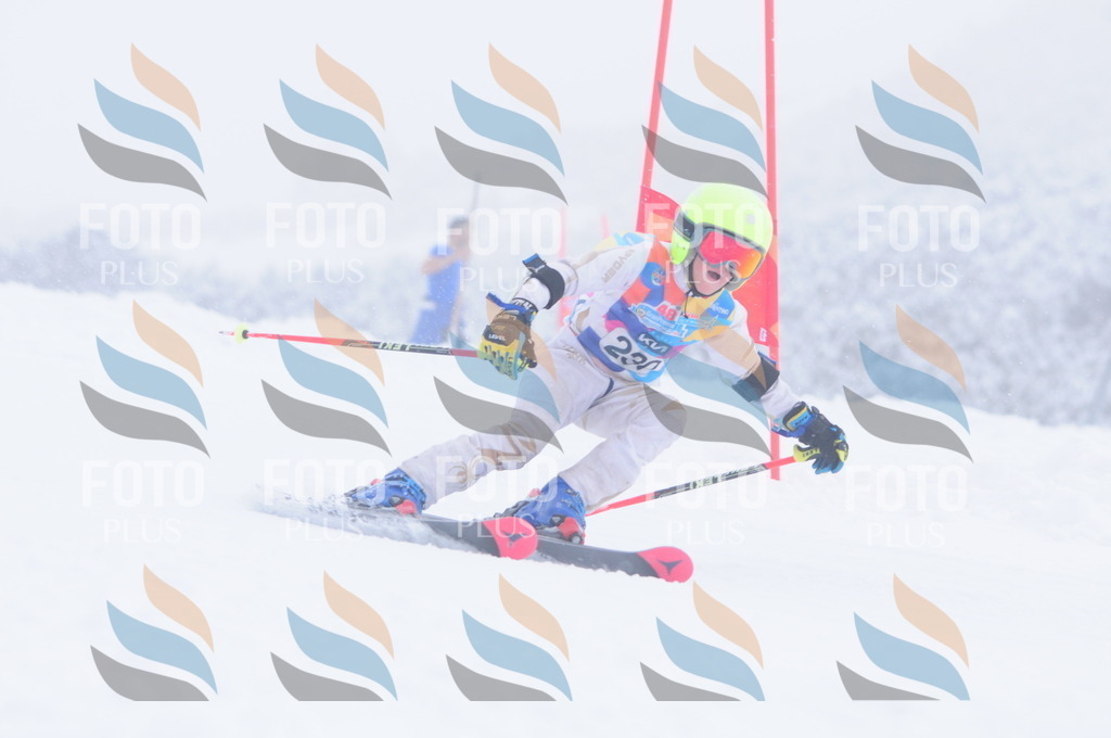 C2415 | holidayphoto