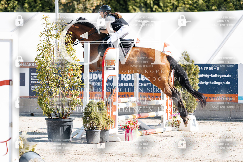 CK905145 | Turnierfotografie Pferdefotografie Trier Rheinland-Pfalz Pferdesport Reitsport Tierfotografie Sportfotografie Pferdevideo Pferdevideografie Equestrianvideography equestrianphotography  - Realisiert mit Pictrs.com