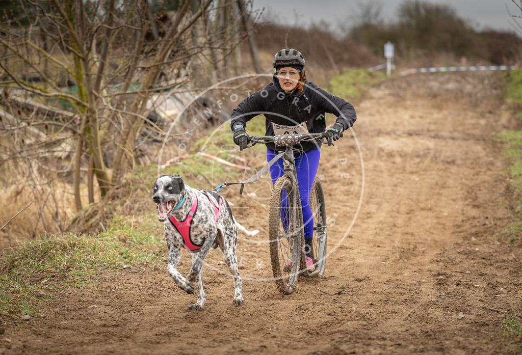 DV3A1292 | Hundefotografie, Tierfotograf, Pfotenfotografie, Fotoshooting Hund, Hunde Portrait, Hundesport, Hundeportraits, Heideshooting, Hunde, Sportfotograf, Hundefotograf, Turnierhundsport, THS,  - Realisiert mit Pictrs.com