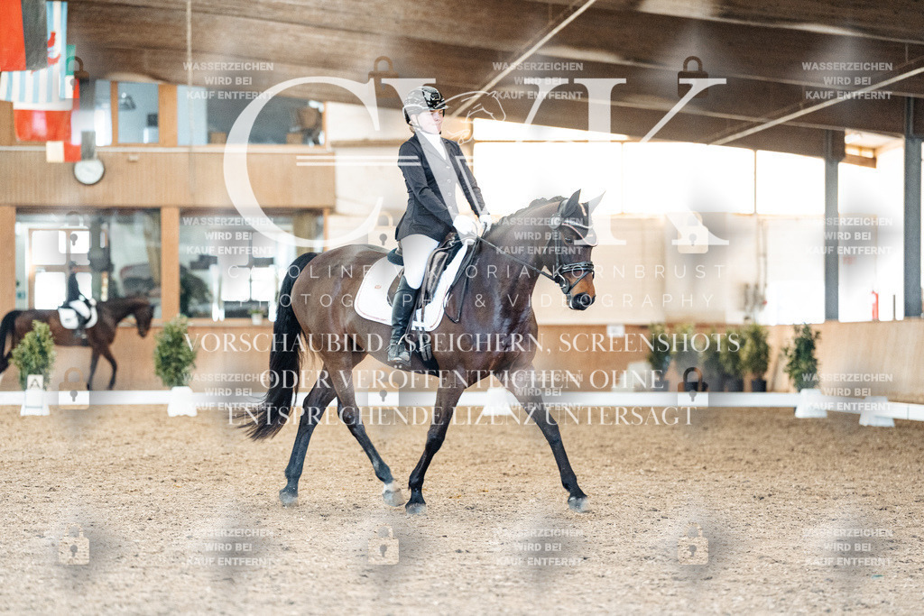 CK908337 | Turnierfotografie Pferdefotografie Trier Rheinland-Pfalz Pferdesport Reitsport Tierfotografie Sportfotografie Pferdevideo Pferdevideografie Equestrianvideography equestrianphotography  - Realisiert mit Pictrs.com