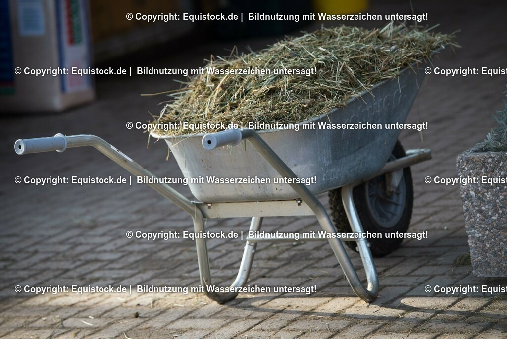 20161213_Schubkarren_0003 | Foto: Thomas Hartig