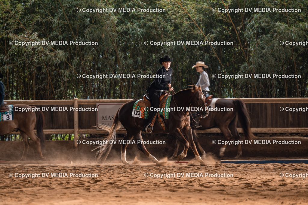 Erbach Tag 2-594 | dv-media-shop - Realisiert mit Pictrs.com