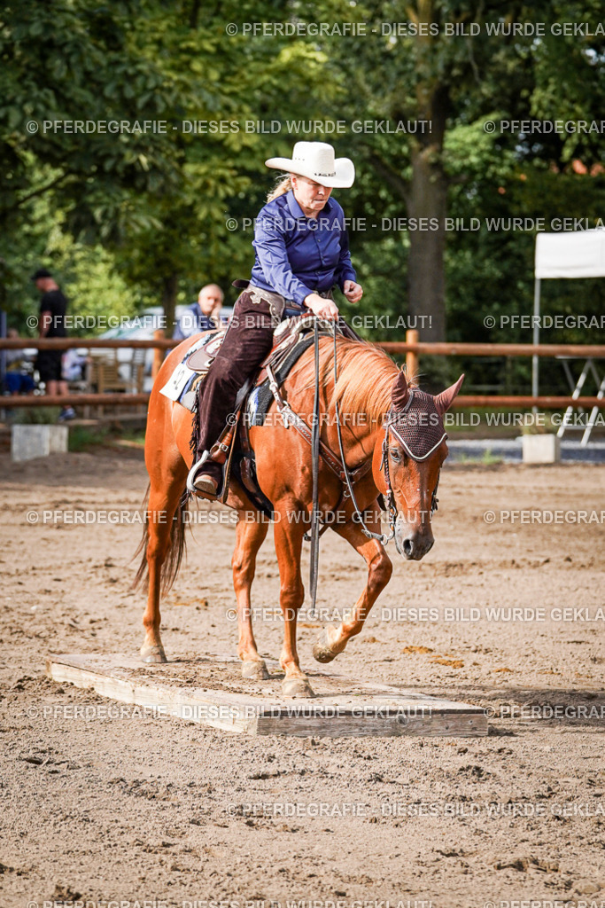 DSC00306 | Pferdegrafie