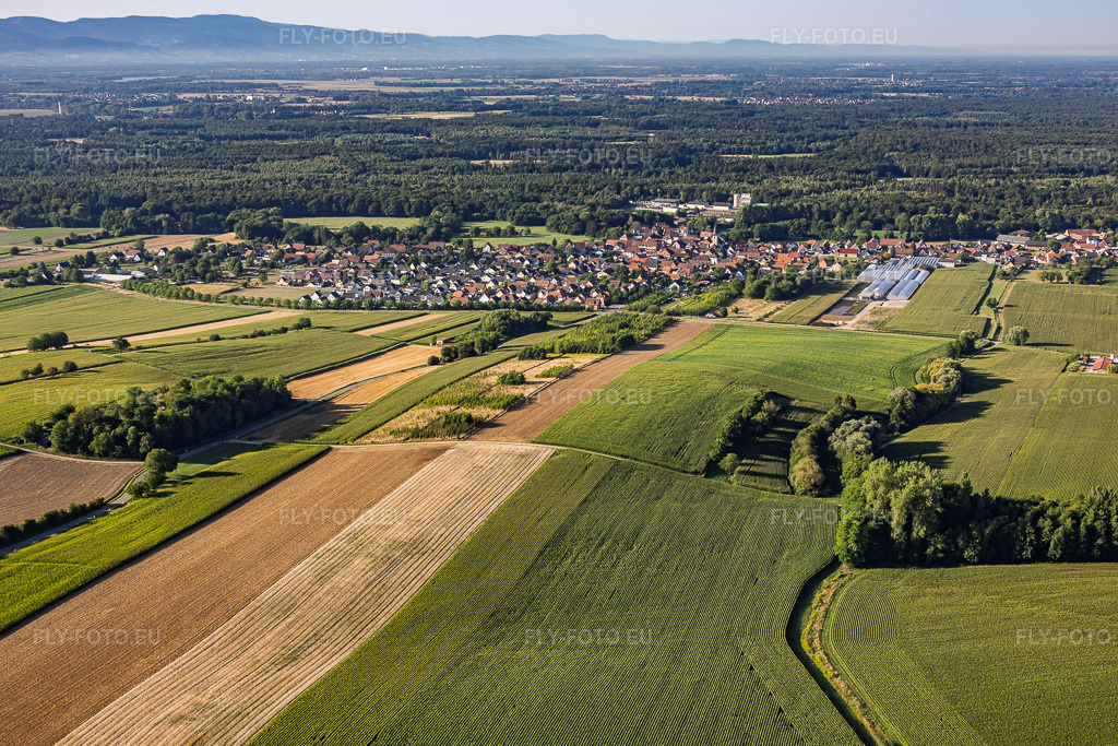 Vue aérienne: Vue de la ville depuis le nord à Niederrœdern dans le département Bas Rhin, France – .Photo: IMG_158260.jpg prise le 25/07/2026 par Werner Riehm/FLY-FOTO.eu – Résolution de l'original: 5709 x 3806 px