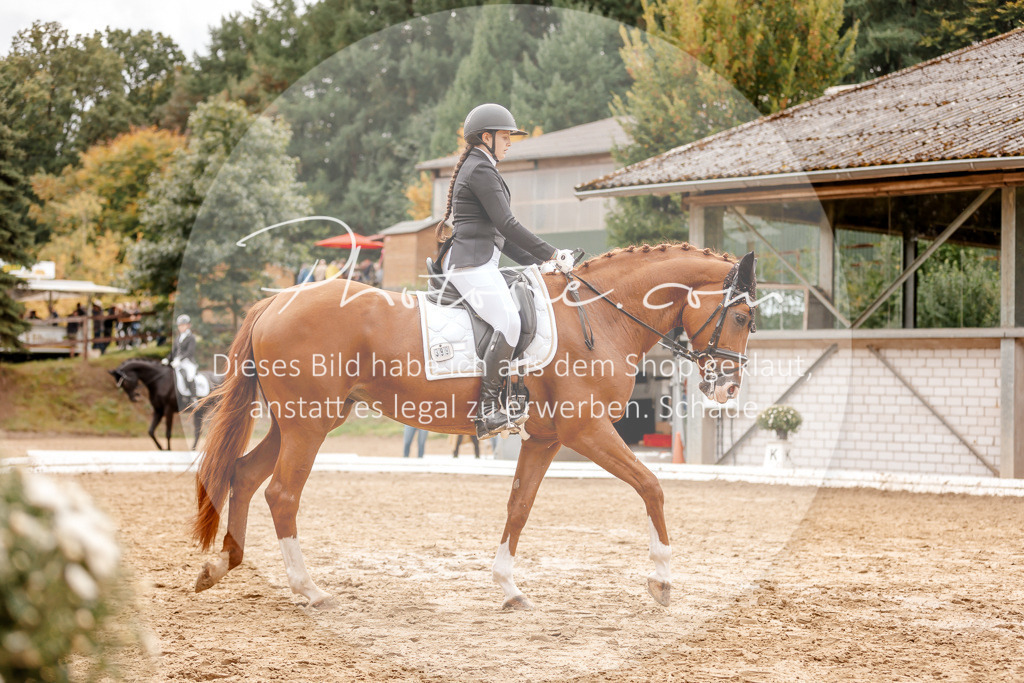 3I6A7712 | Stimmungsvolle Portraits und Reitsportfotografie im Ruhrgebiet und im Münsterland.

Pferdefotografie, Hundefotografie, Tierfotografie, Reportagen, Portraits von Tier und Mensch, Turnierfotografie in Bochum, Recklinghausen, Marl, Haltern am See, Dülmen.. - Realisiert mit Pictrs.com