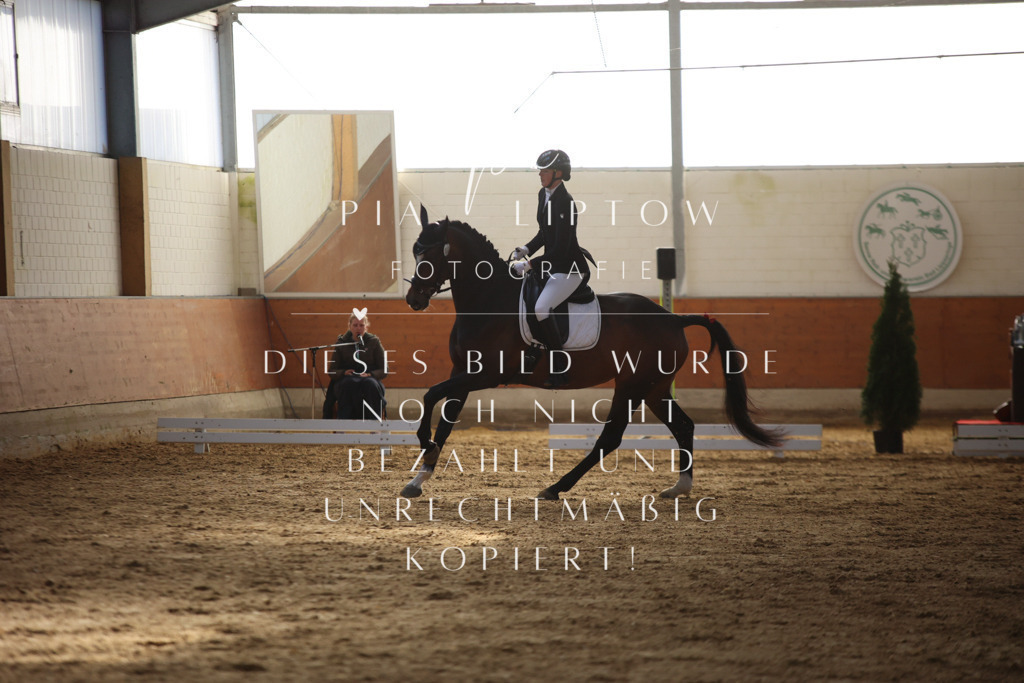 IMGT6258 | pl-fotografie