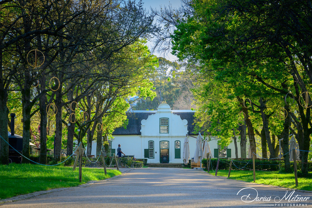 _DSC5658 | Fotografien, Fotos und Bilder aus Mainz, Frankfurt, Wiesbaden und anderen Orten auf der Welt - Fotografiert von Darius Metzner