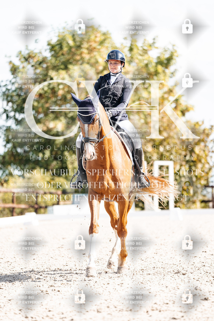 CK902504 | Turnierfotografie Pferdefotografie Trier Rheinland-Pfalz Pferdesport Reitsport Tierfotografie Sportfotografie Pferdevideo Pferdevideografie Equestrianvideography equestrianphotography  - Realisiert mit Pictrs.com