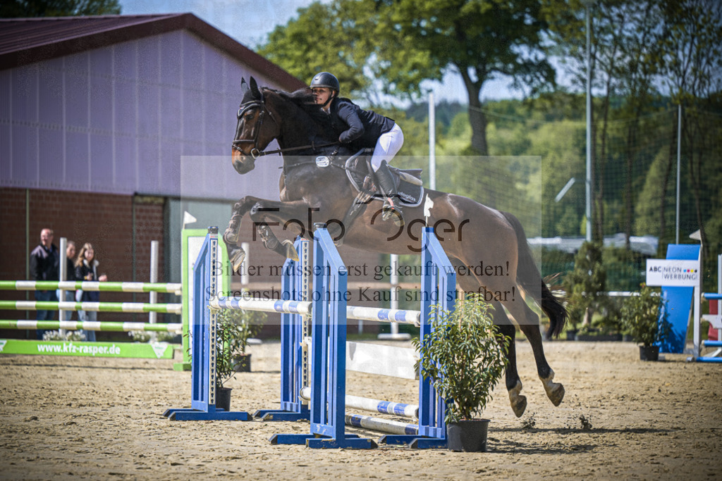 DOS_8291 | Entdecke hochwertige Reitturnierfotos von Foto Oger. Professionell, emotional und authentisch – jetzt Lieblingsmomente im Shop bestellen.Deutschlandweite Turnierfotografie. - Realisiert mit Pictrs.com