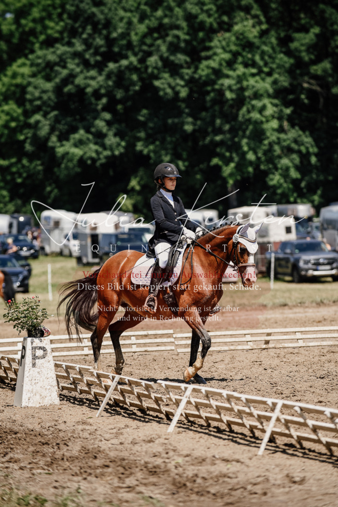 DSC_1934 | Pferde- und Turnierfotografie in Westsachsen. Pferdeportraits, Auftragszeichnungen und intuitive Kunst.