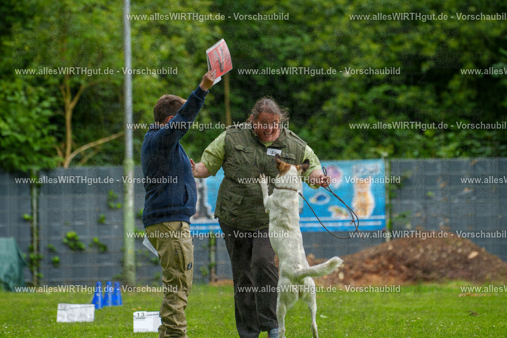 @allesWIRTHgut_Tierfotografie - www.allesWIRTHgut.de - 123250-7R509088 | Professionelle Tierfotografie in Mönchengladbach von Daniel Wirth (allesWIRTHgut). Liebevolle & natürliche Bilder von Hunden & Katzen für unvergessliche Erinnerungen.