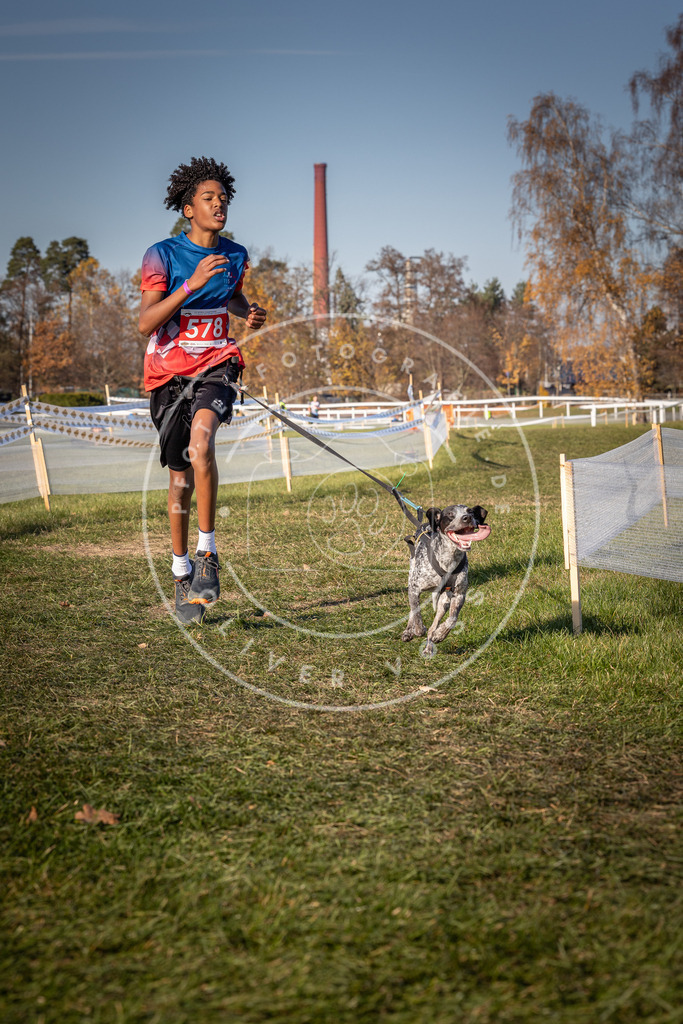 CaniXpix_0L8A8184 | Hundefotografie, Tierfotograf, Pfotenfotografie, Fotoshooting Hund, Hunde Portrait, Hundesport, Hundeportraits, Heideshooting, Hunde, Sportfotograf, Hundefotograf, Turnierhundsport, THS,  - Realisiert mit Pictrs.com