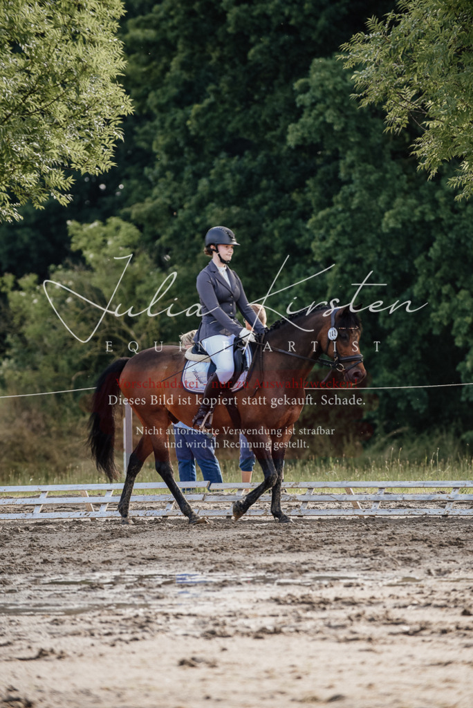 DSC_8262 | Pferde- und Turnierfotografie in Westsachsen. Pferdeportraits, Auftragszeichnungen und intuitive Kunst.