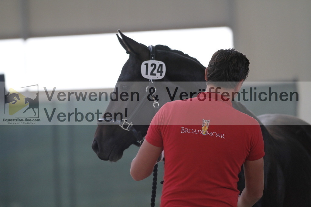_MG_9655 | equestrian-live-com