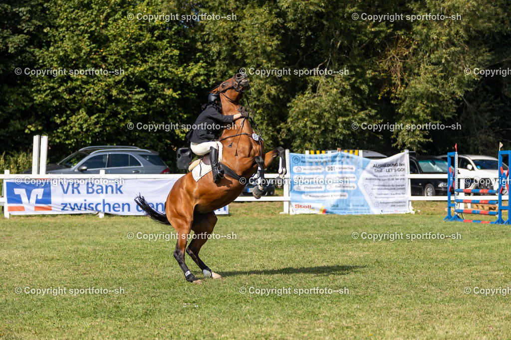 240831-VW-IS6A3548 | Sportfoto SH - Realisiert mit Pictrs.com