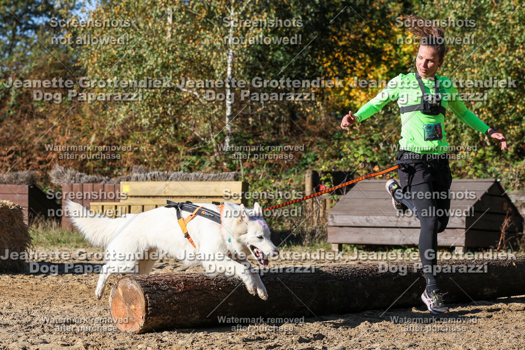 Dog Paparazzi - Strongdog 10-25-2073 | Dog Paparazzi Jeanette Grottendiek Fotografie & Videografie - Realisiert mit Pictrs.com