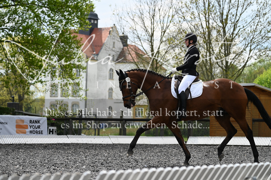 20230512_JK-Röhrsdorf-08-136 | Pferde- und Turnierfotografie in Westsachsen. Pferdeportraits, Auftragszeichnungen und intuitive Kunst.