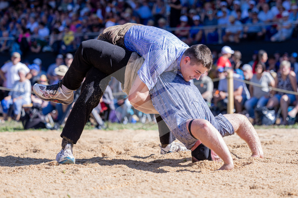 TESSINER2025_05_Gang_1131 | Die Schwinger des Schwyzer Kantonalen Schwingerverbandes: Fotos, die Dynamik und Leidenschaft festhalten, sowie emotionale Momente aus dem traditionellen Schwingsport zeigen. - Realisiert mit Pictrs.com