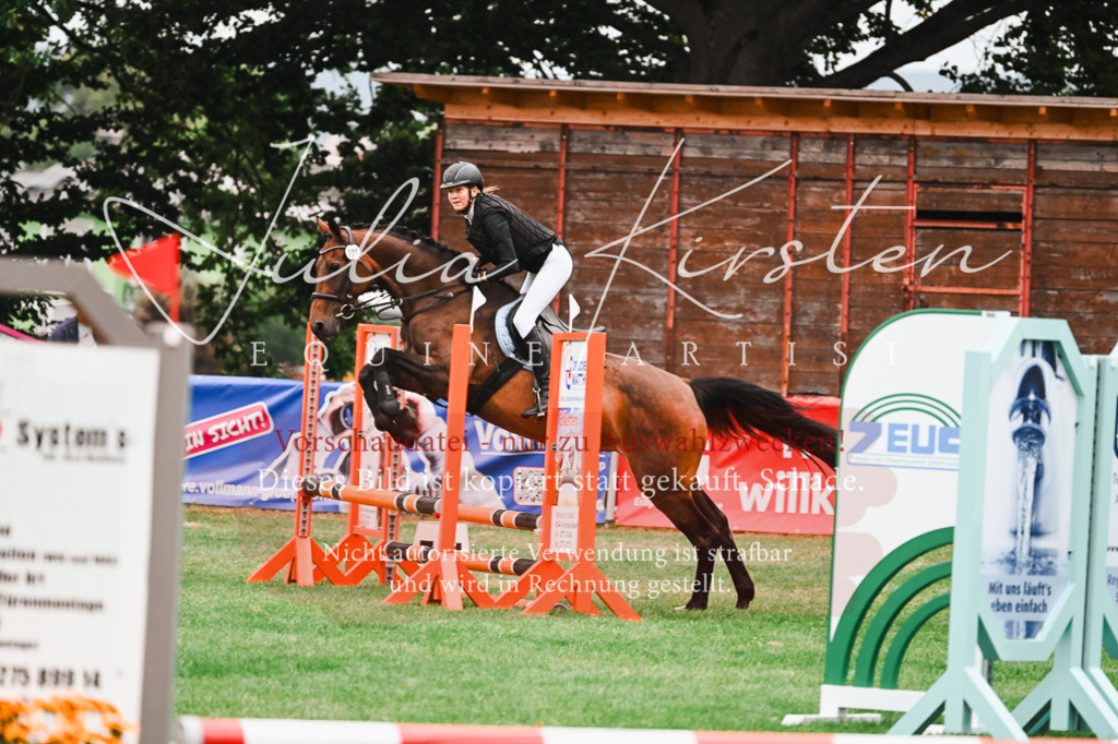 DSC_5868 | Pferde- und Turnierfotografie in Westsachsen. Pferdeportraits, Auftragszeichnungen und intuitive Kunst.