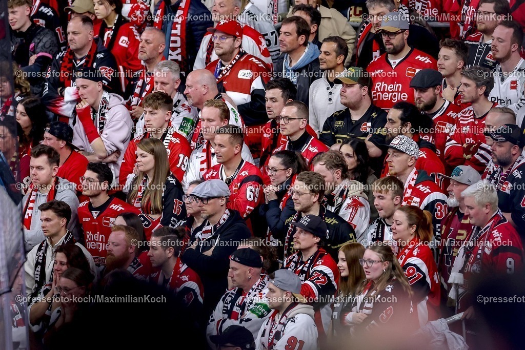 KEC15042601186 | 15.04.2026, Eishockey, DEL Halbfinale Play-Offs, Kölner Haie - Eisbären Berlin, Spiel 4, Lanxess-Arena Köln: Die Zuschauer Fans Eishockeyfans bangend auf der Tribüne Mitfiebernd 
