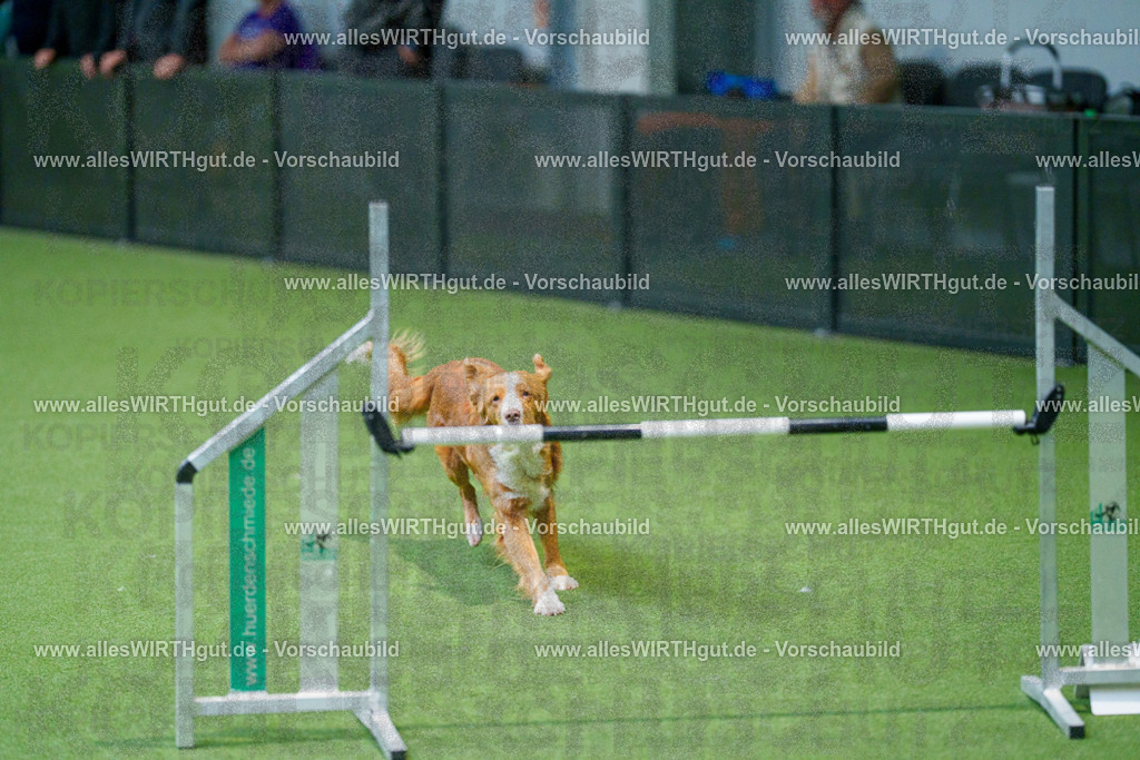 @allesWIRTHgut_Tierfotografie - www.allesWIRTHgut.de - 2604250946-7R508910 | Professionelle Tierfotografie in Mönchengladbach von Daniel Wirth (allesWIRTHgut). Liebevolle & natürliche Bilder von Hunden & Katzen für unvergessliche Erinnerungen.
