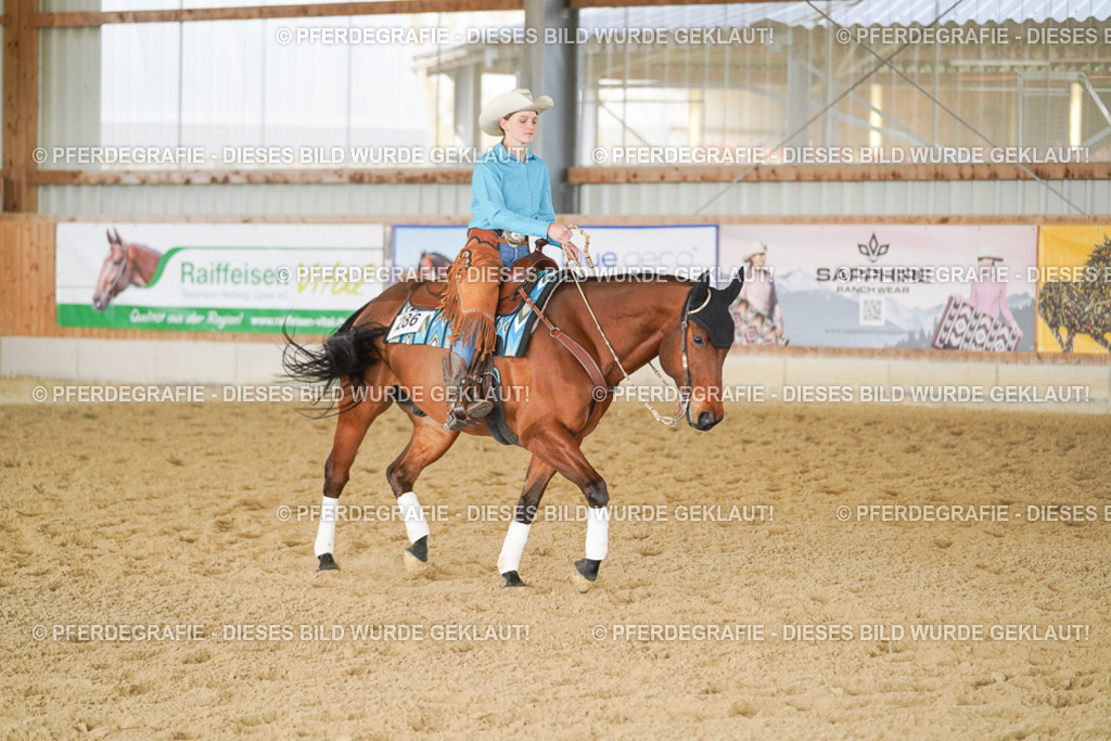 DSC00849 | Pferdegrafie