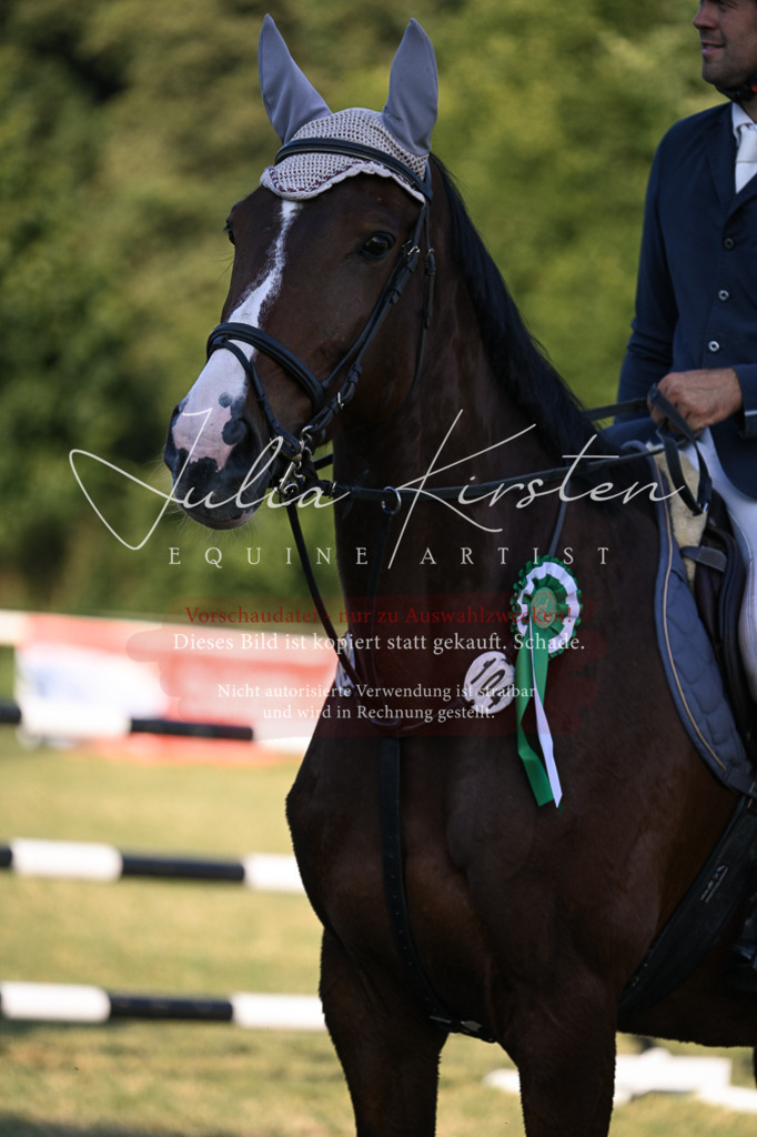 DSC_1886 | Pferde- und Turnierfotografie in Westsachsen. Pferdeportraits, Auftragszeichnungen und intuitive Kunst.