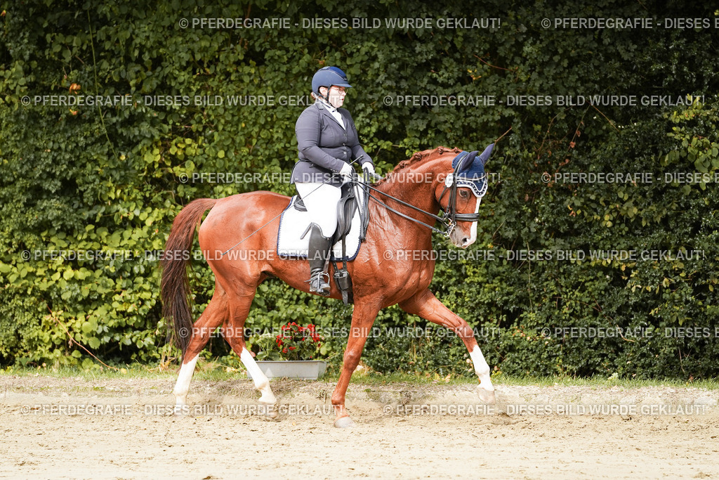 DSC03072 | Pferdegrafie