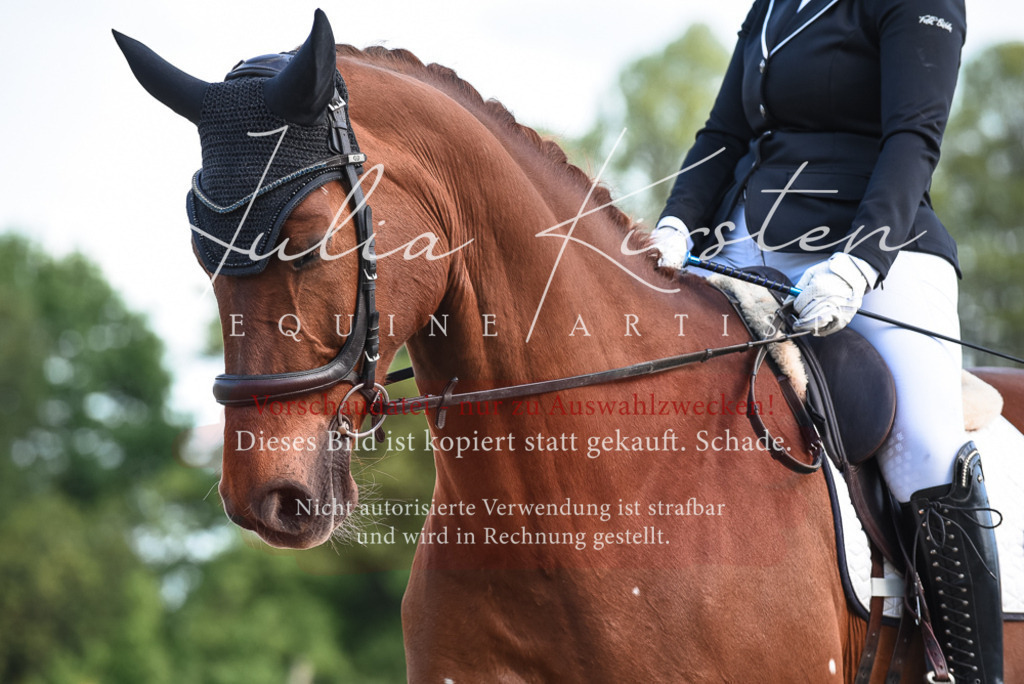 20230518_JK-Röhrsdorf-12-1125 | Pferde- und Turnierfotografie in Westsachsen. Pferdeportraits, Auftragszeichnungen und intuitive Kunst.