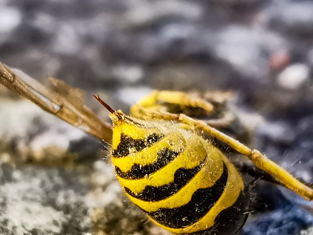 PSX_20230905_215215 | mtkfoto_ - Realisiert mit Pictrs.com