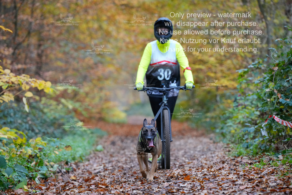 Scooter_So-57 | stephaniefillaphotographie - Realisiert mit Pictrs.com