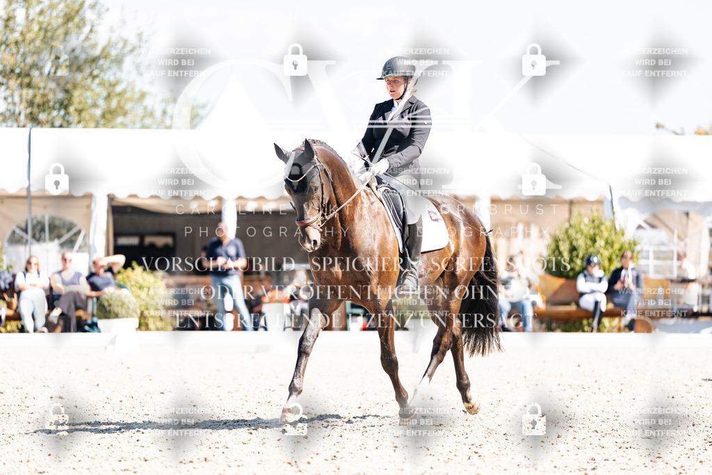 CK903521 | Turnierfotografie Pferdefotografie Trier Rheinland-Pfalz Pferdesport Reitsport Tierfotografie Sportfotografie Pferdevideo Pferdevideografie Equestrianvideography equestrianphotography  - Realisiert mit Pictrs.com