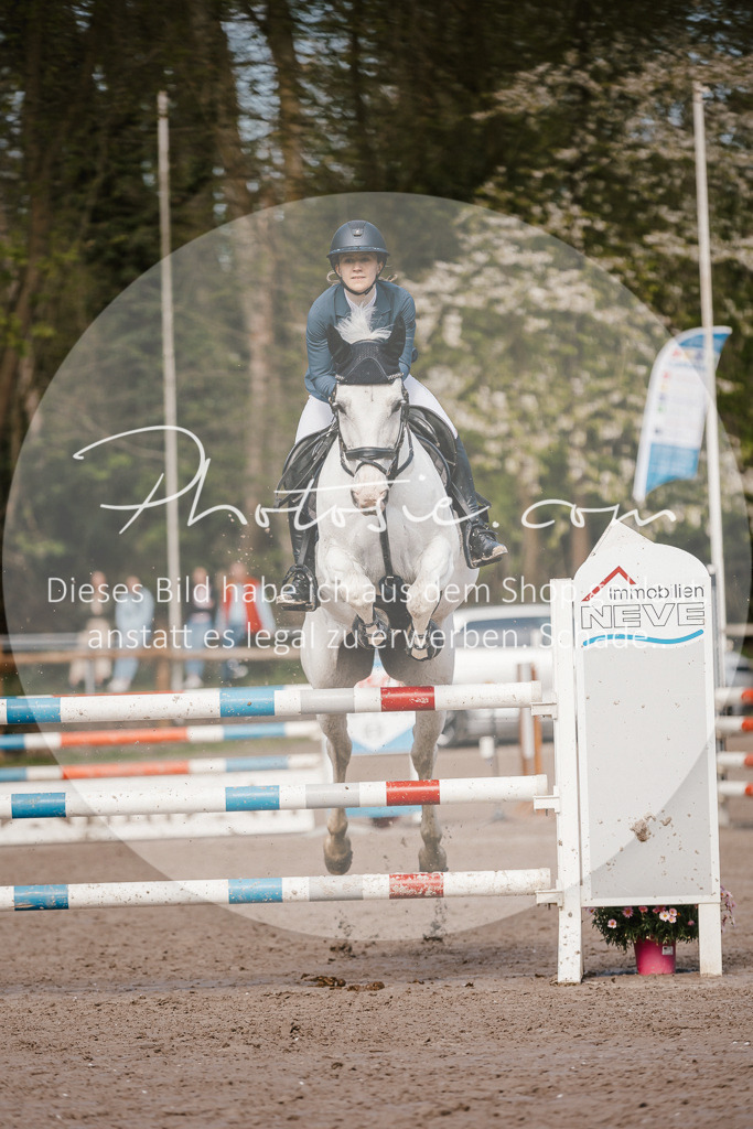 3I6A4006 | Stimmungsvolle Portraits und Reitsportfotografie im Ruhrgebiet und im Münsterland.

Pferdefotografie, Hundefotografie, Tierfotografie, Reportagen, Portraits von Tier und Mensch, Turnierfotografie in Bochum, Recklinghausen, Marl, Haltern am See, Dülmen.. - Realisiert mit Pictrs.com