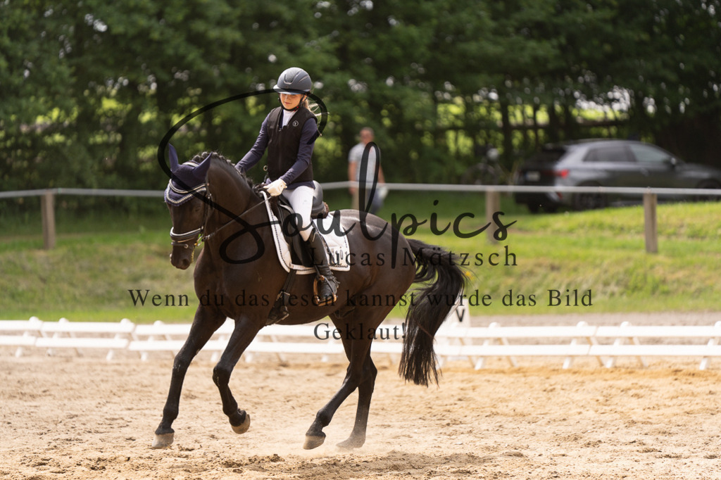A7505930 | Turnier/Reitfotograf
