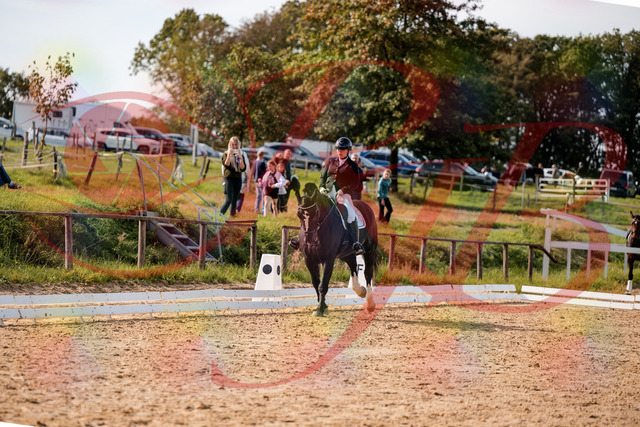 2026_10_03_Siefer-Hof_131716_Z63_79140170 | Professionelle Reitsport-, Turnier- und Eventfotografie von Robert Broda. Galerien mit ausgewählten und bearbeiteten Bildern direkt online ansehen und bestellen.