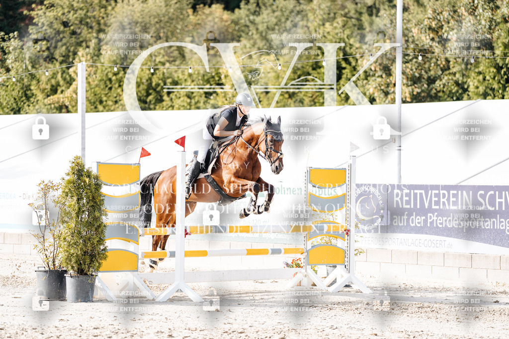 CK906093 | Turnierfotografie Pferdefotografie Trier Rheinland-Pfalz Pferdesport Reitsport Tierfotografie Sportfotografie Pferdevideo Pferdevideografie Equestrianvideography equestrianphotography  - Realisiert mit Pictrs.com