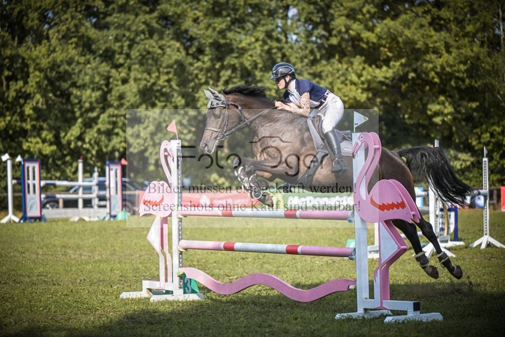 DOS_0711 | Entdecke hochwertige Reitturnierfotos von Foto Oger. Professionell, emotional und authentisch – jetzt Lieblingsmomente im Shop bestellen. - Realisiert mit Pictrs.com