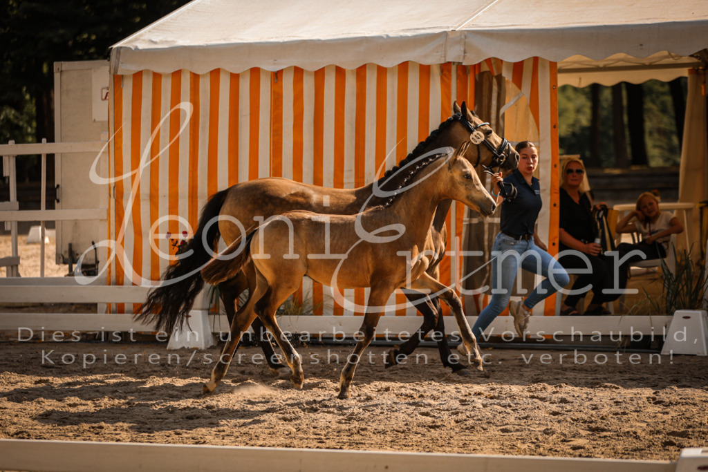 11.DoRP00019 | Leoni Ertmer Photography - Realisiert mit Pictrs.com