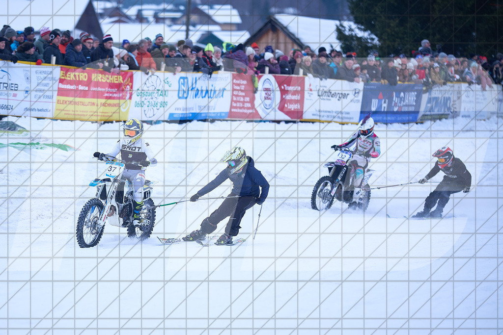 11. Holzknecht Skijöring | Skijöring am 24.01.2026: 11. Holzknecht Skijöring in Gosau am Dachstein, Oberösterreich, ÖsterreichFoto: © 2026 Martin Bihounek | mb-creative.eu