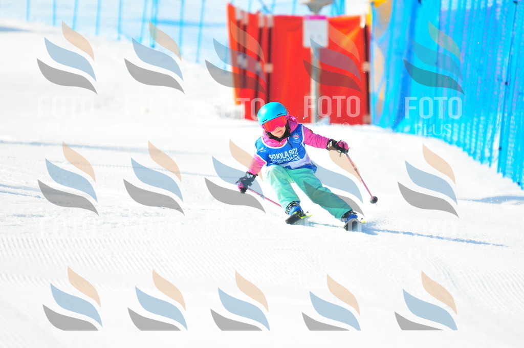 B8907 | holidayphoto