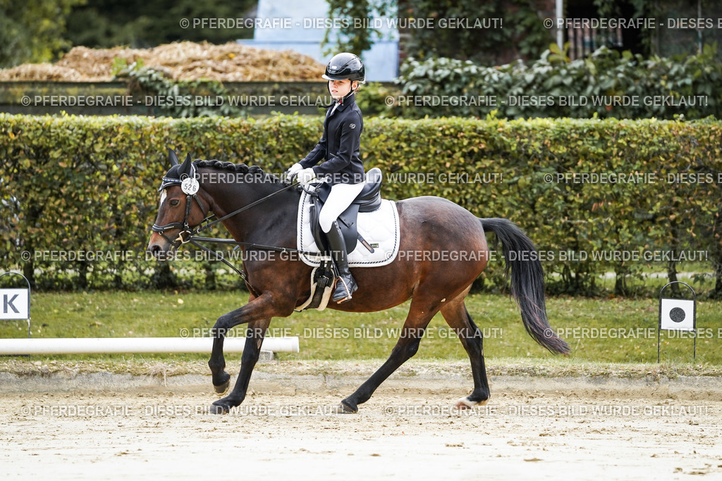 DSC05543 | Pferdegrafie