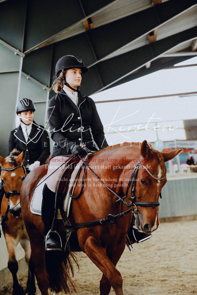 DSC_7266 | Pferde- und Turnierfotografie in Westsachsen. Pferdeportraits, Auftragszeichnungen und intuitive Kunst.