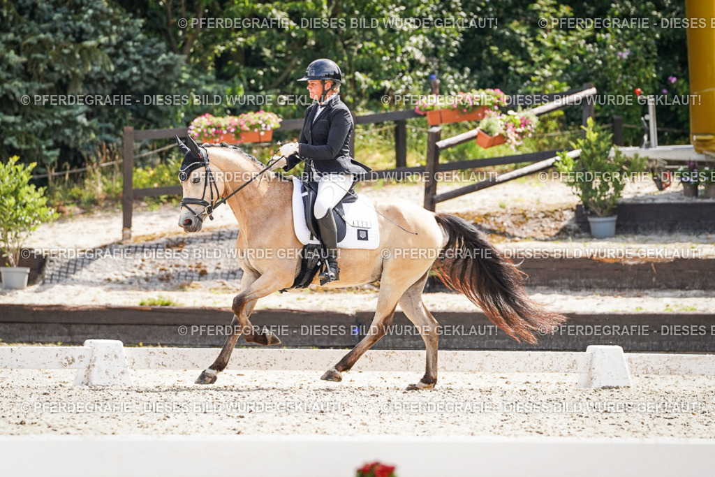 DSC09529 | Pferdegrafie