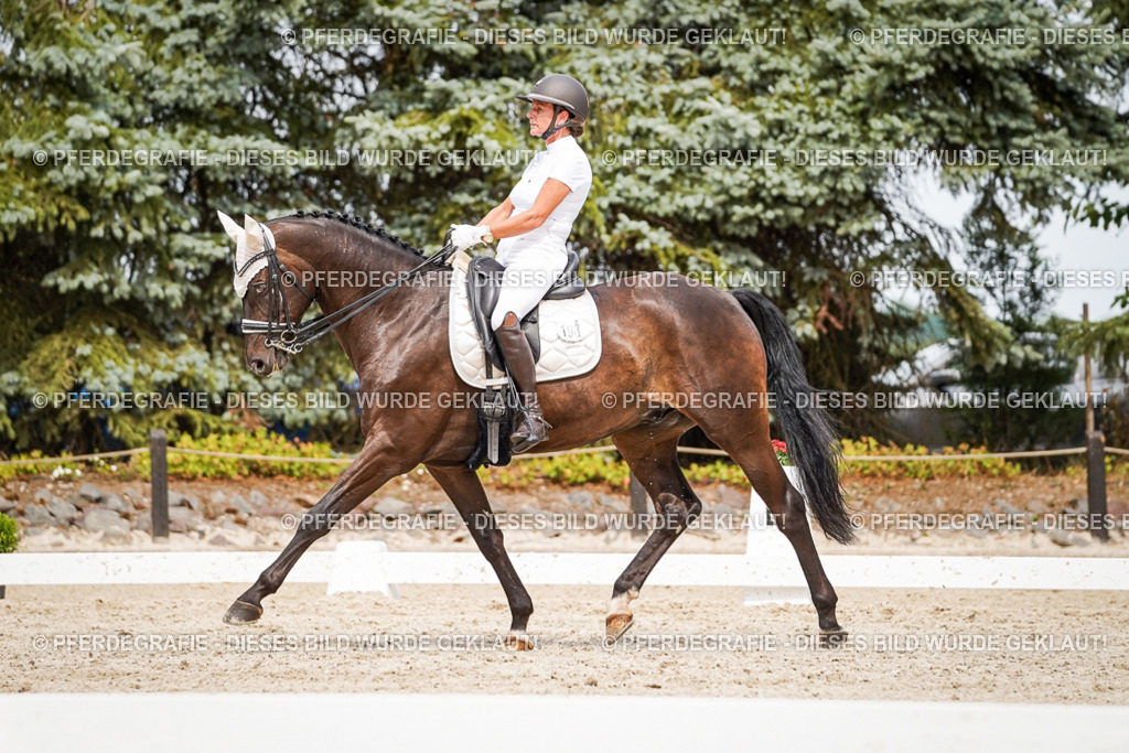 DSC06404 | Pferdegrafie