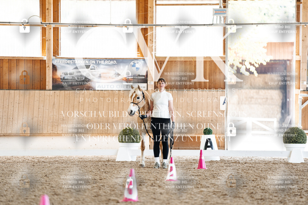 CK907300 | Turnierfotografie Pferdefotografie Trier Rheinland-Pfalz Pferdesport Reitsport Tierfotografie Sportfotografie Pferdevideo Pferdevideografie Equestrianvideography equestrianphotography  - Realisiert mit Pictrs.com