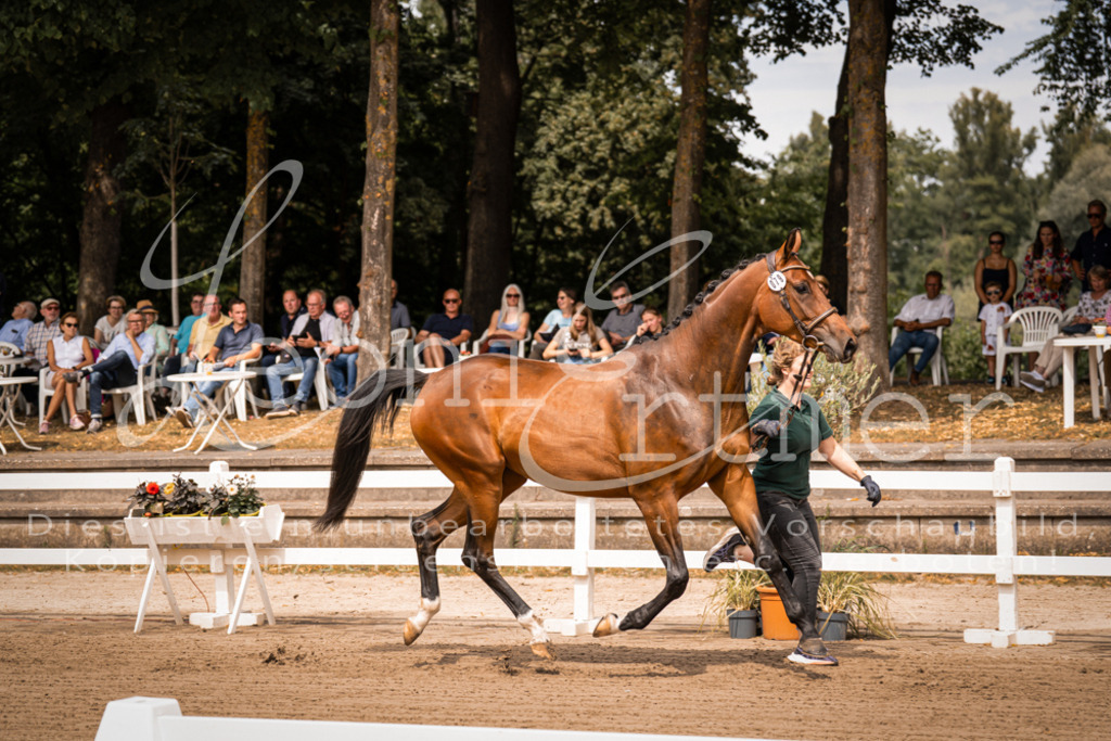 4.Fr00109 | Leoni Ertmer Photography - Realisiert mit Pictrs.com