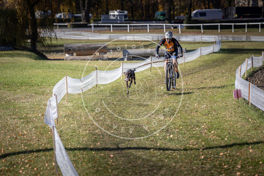 CaniXpix_DV3A5567 | Hundefotografie, Tierfotograf, Pfotenfotografie, Fotoshooting Hund, Hunde Portrait, Hundesport, Hundeportraits, Heideshooting, Hunde, Sportfotograf, Hundefotograf, Turnierhundsport, THS,  - Realisiert mit Pictrs.com