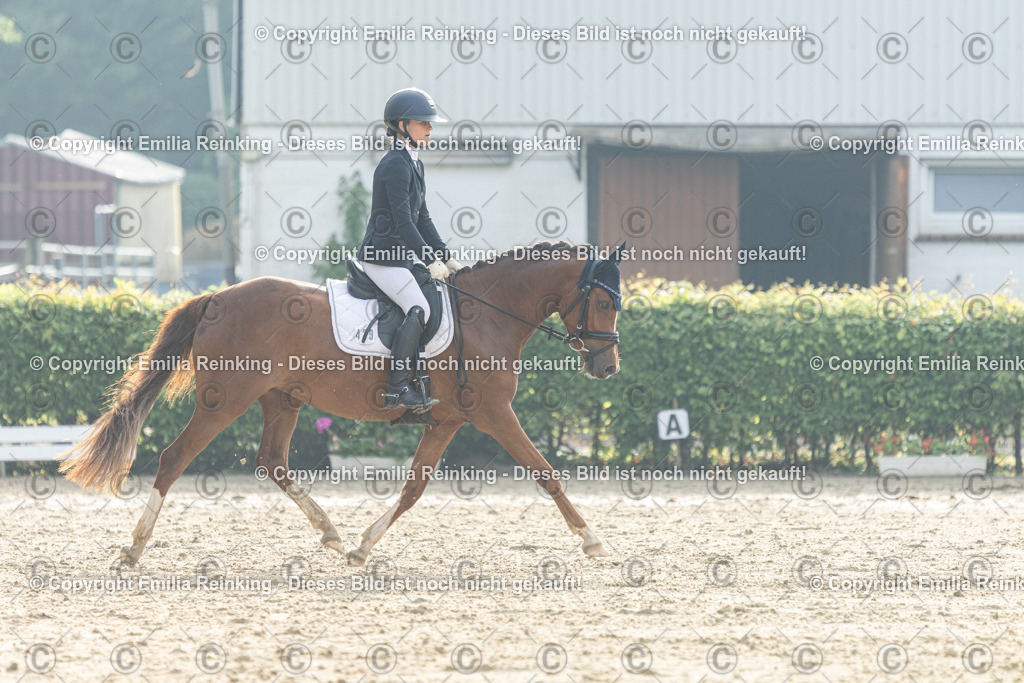 CL5A3652 | Emilia Reinking Fotografie - Realisiert mit Pictrs.com