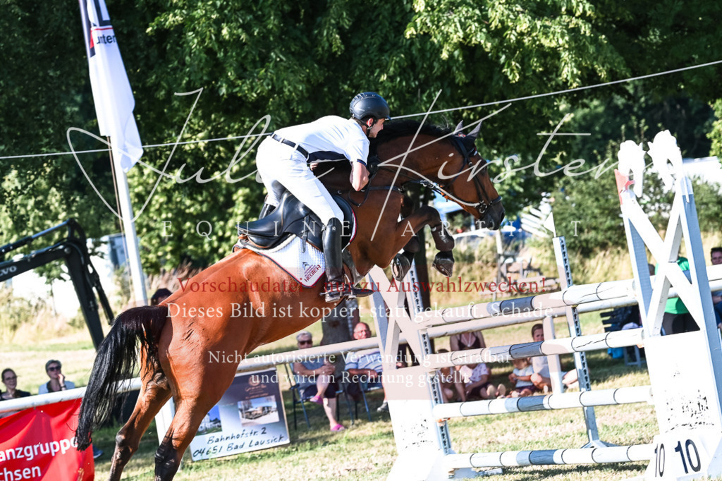 DSC_2686 | Pferde- und Turnierfotografie in Westsachsen. Pferdeportraits, Auftragszeichnungen und intuitive Kunst.